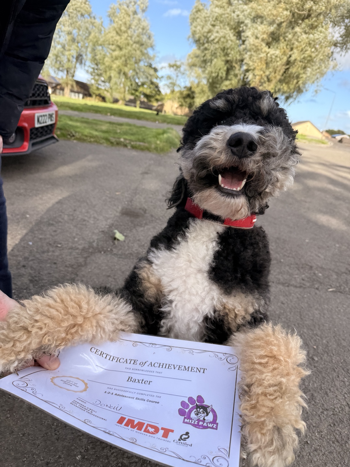 Baxter proudly holding his Mizz Pawz course certificate