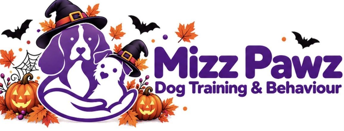 Mizz Pawz Dog Training and Behaviour Halloween header with Cookie and Oreo in witch hats, pumpkins, autumn leaves and bats