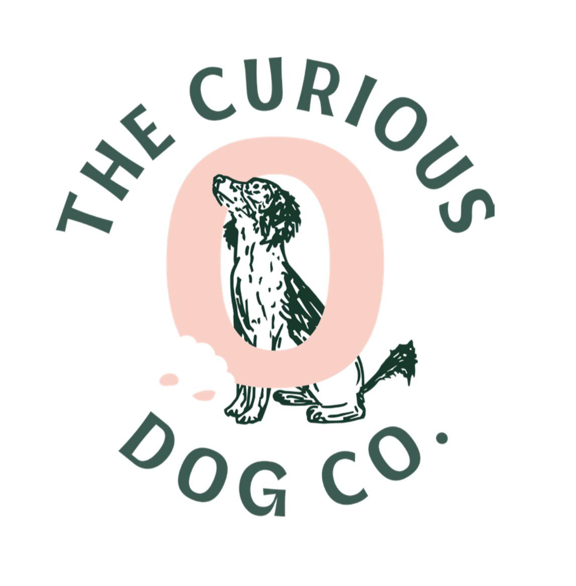 The Curious Dog Company logo