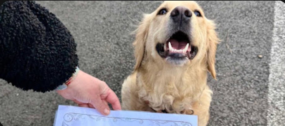 Daphne smiling with her training certificate