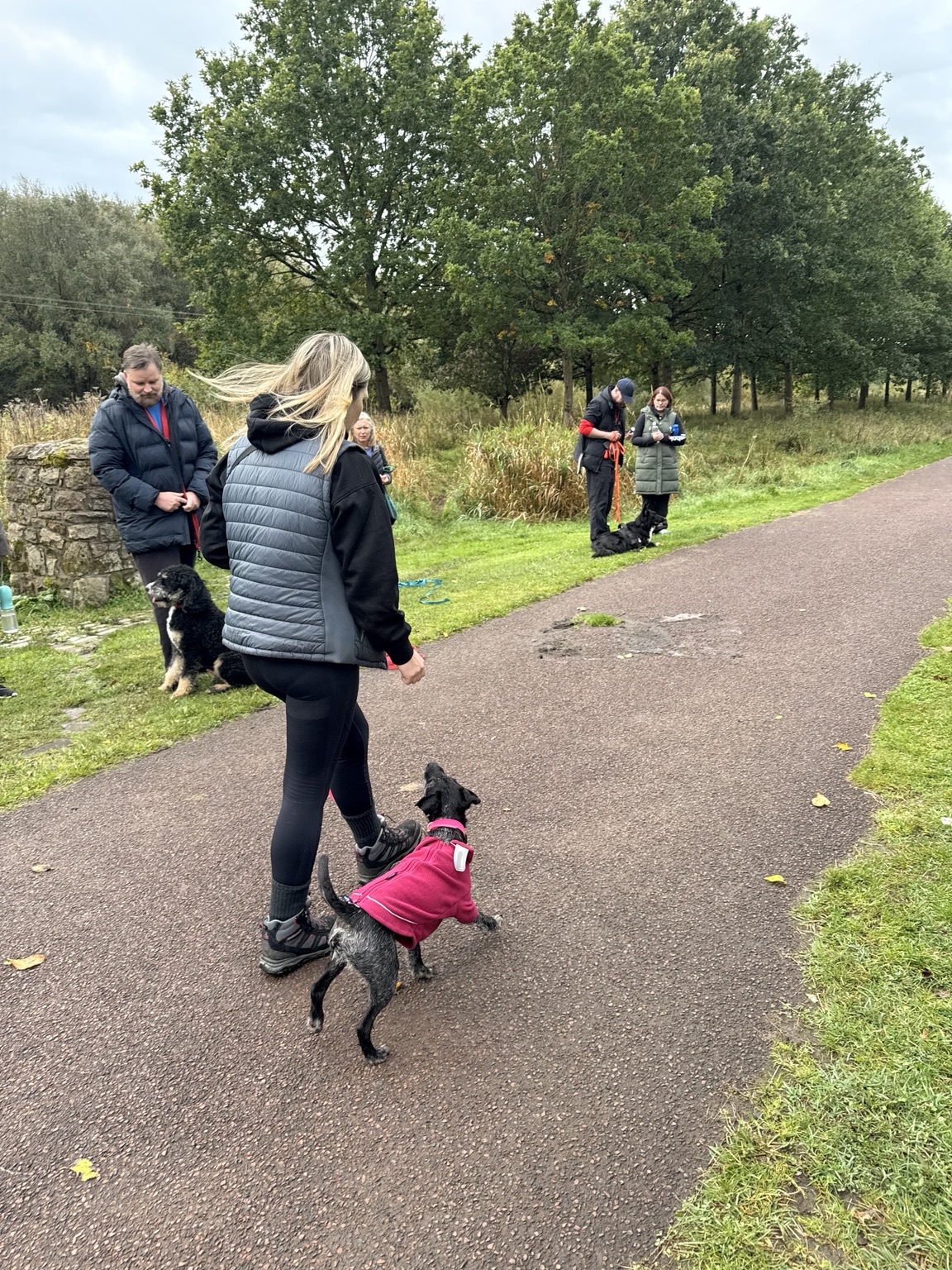 Dogs and owners practising skills outdoors