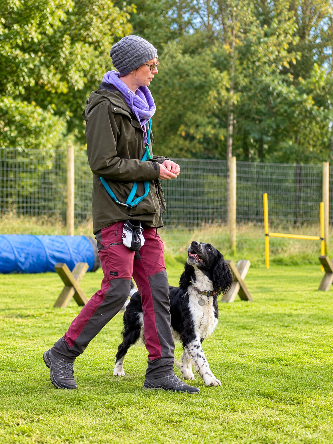 Mizz Pawz trainer working with an attentive adult spaniel outdoors